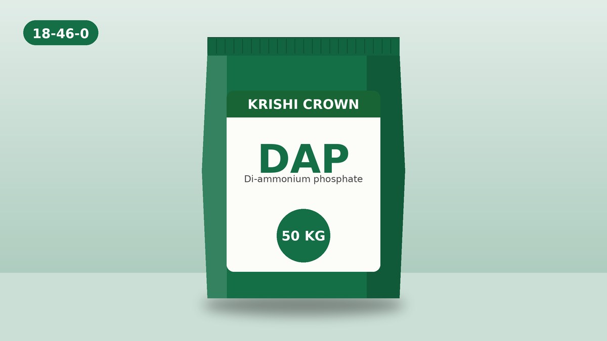 DAP 50 KG