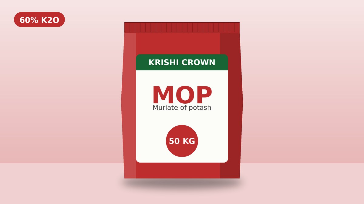 MOP 50 KG