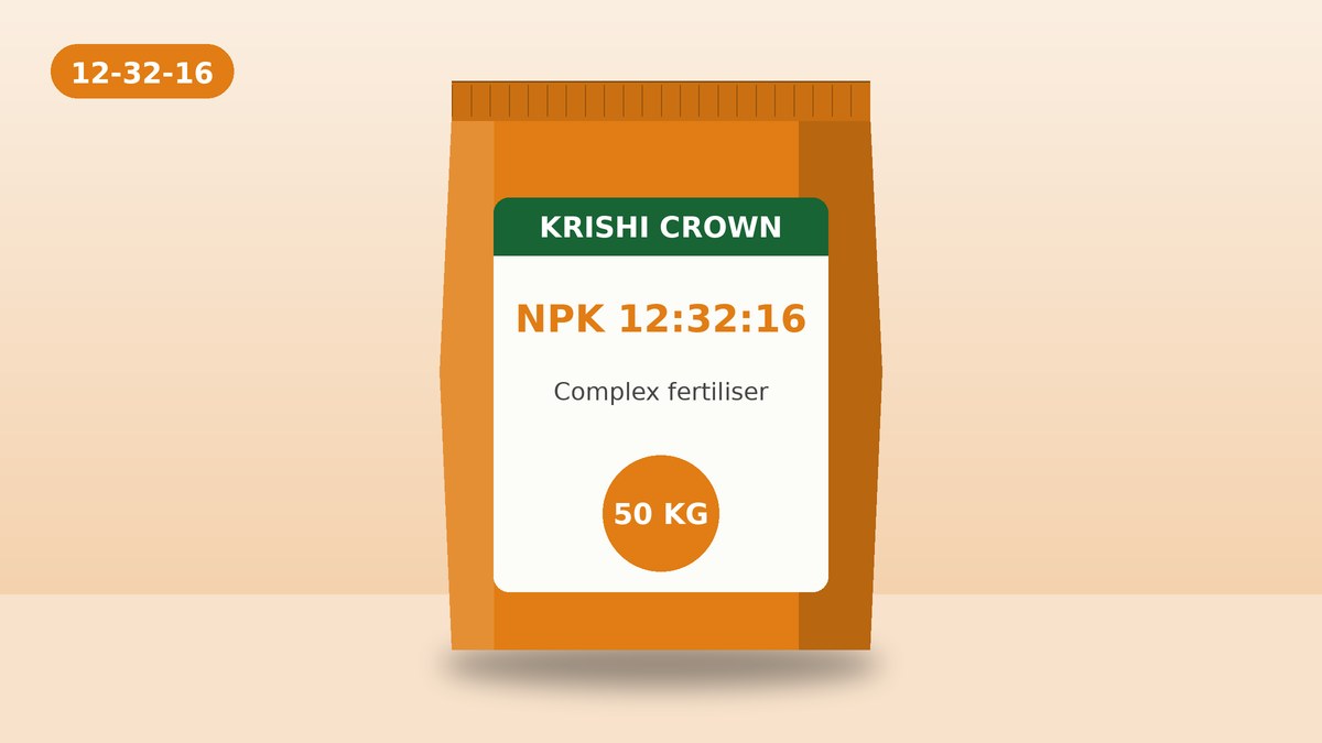 NPK 12:32:16 50 KG