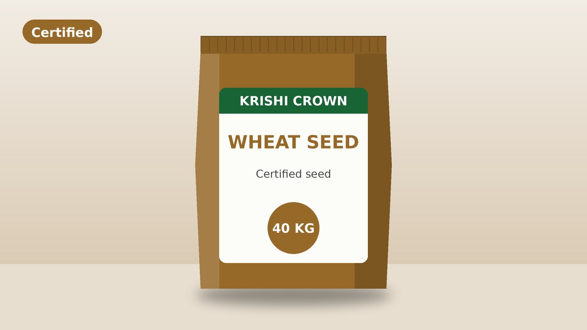 Wheat Seed 40 KG